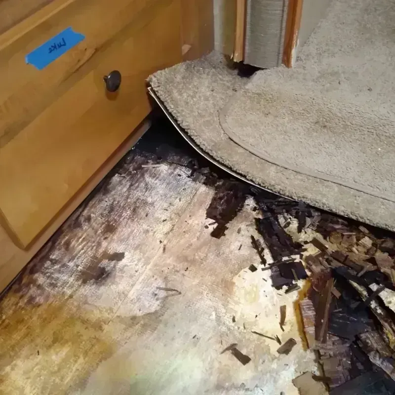 Wood Floor Water Damage in Drexel, OH